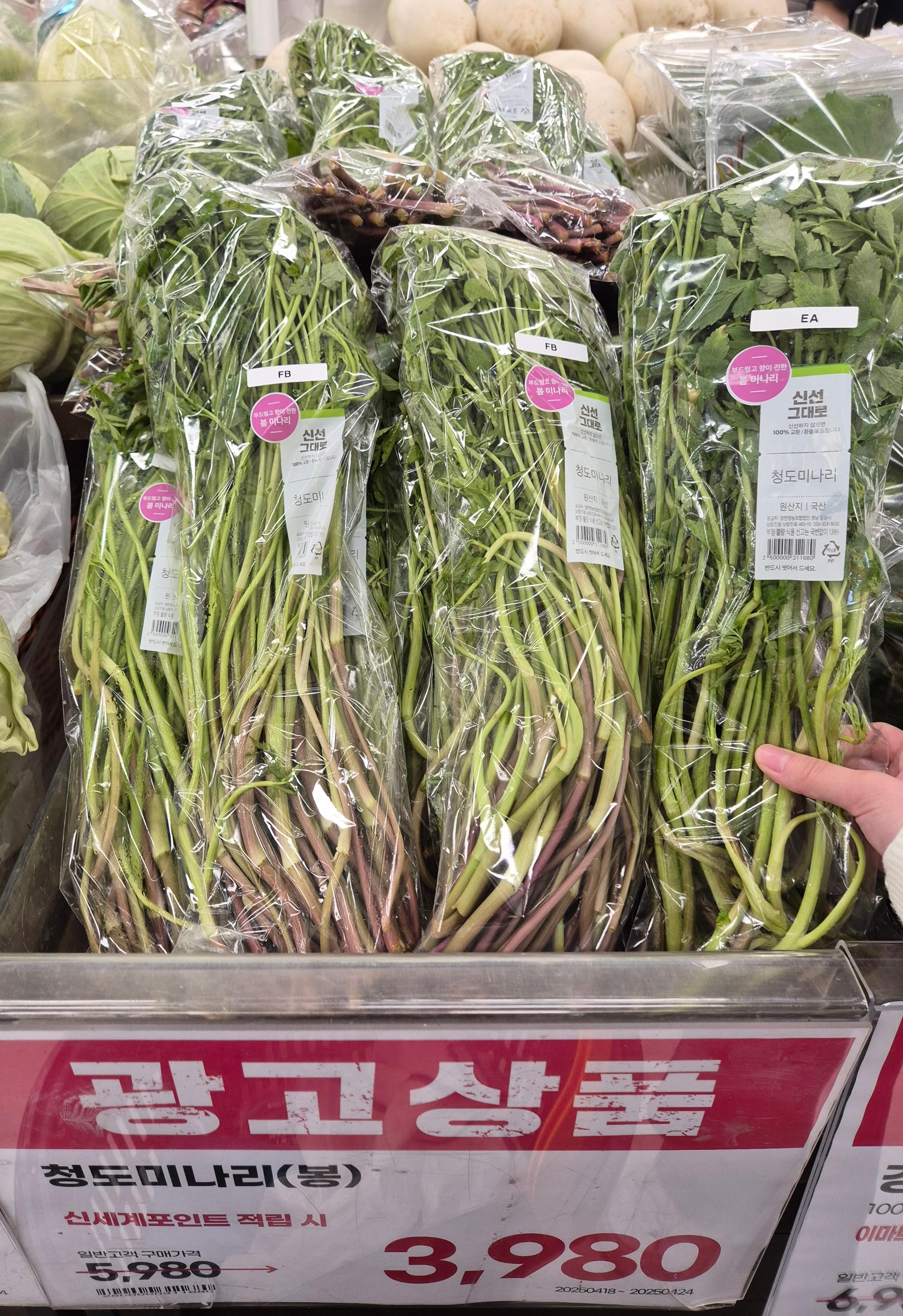 이마트에서 청도 미나리를 세일하는 사진이다.