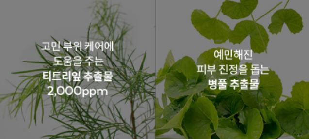 어퓨-더-퓨어-스팟-세럼-모습-성분