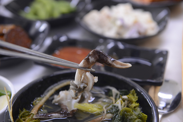 남당항 새조개 맛집 축제 가격 택배 만중이네회수산 내포횟집 전망대회수산 홍성본점 또오리회수산 온누리회수산 동백회수산 남해수산 푸른바다 싱싱바다이야기 이슬네수산 왕언니회수산