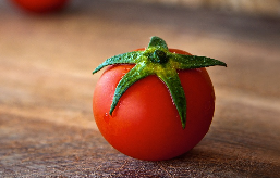 토마토 항암 효과