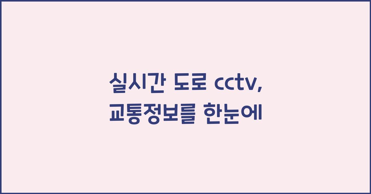 실시간 도로 cctv