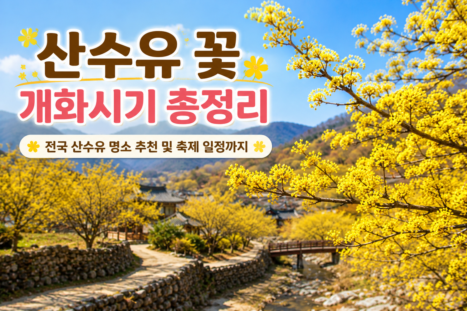 산수유 꽃 개화시기 총정리｜전국 산수유 명소 추천 및 축제 일정까지 관련 사진