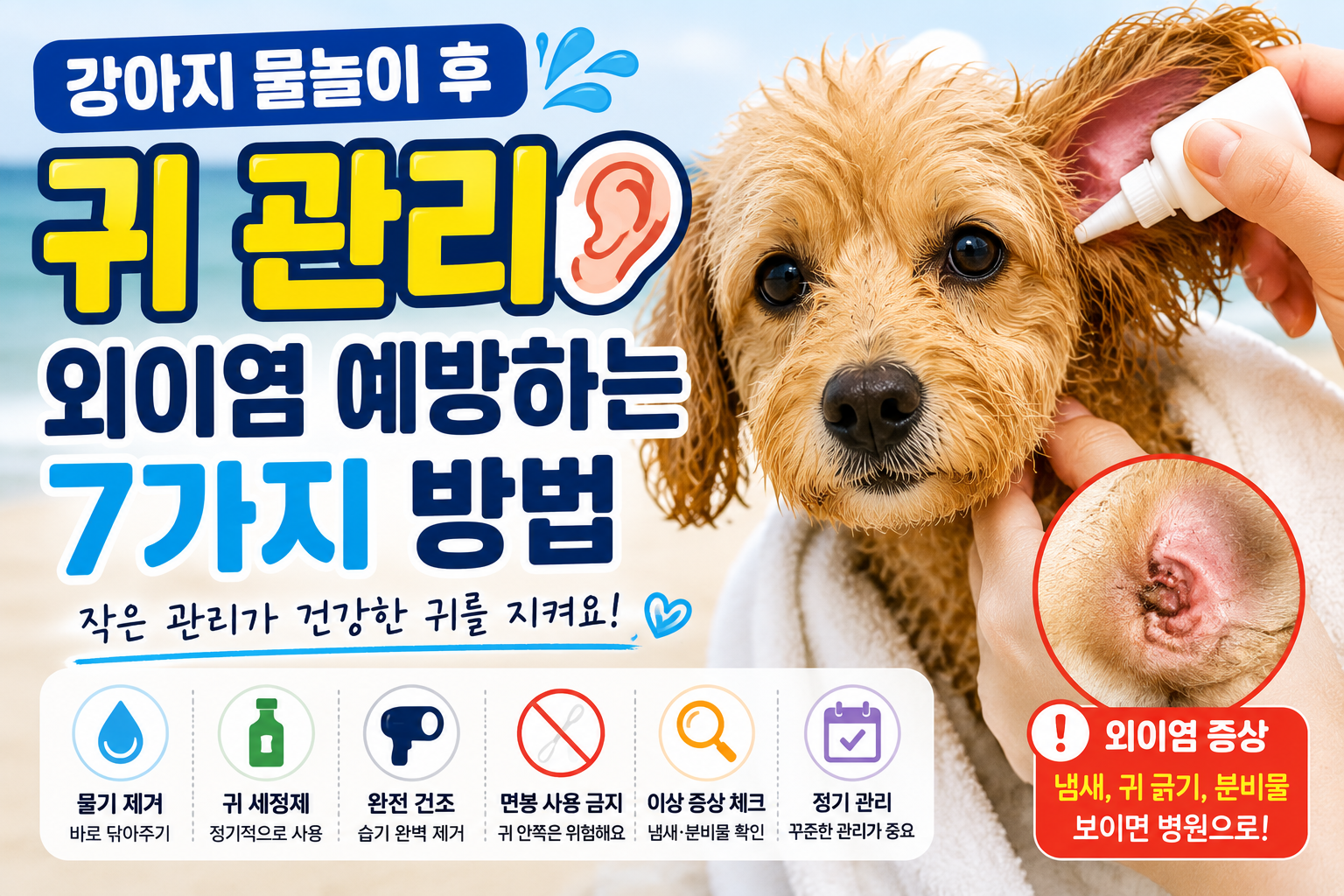 강아지 물놀이 후 귀 관리|외이염 예방하는 7가지 방법