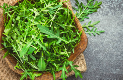 루꼴라 샌드위치