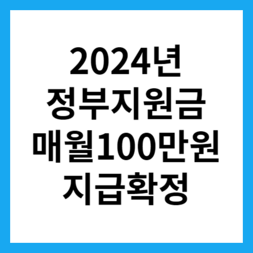 정부지원금
