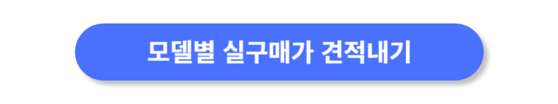 버튼