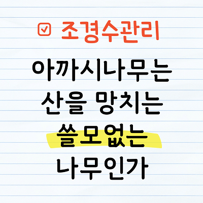 아까시나무는 산을 망치는 쓸모없는 나무인가