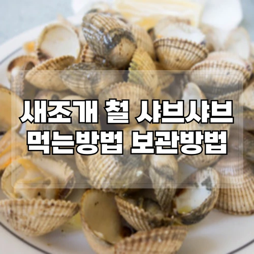새조개-철-새조개-샤브샤브-먹는방법-보관방법
