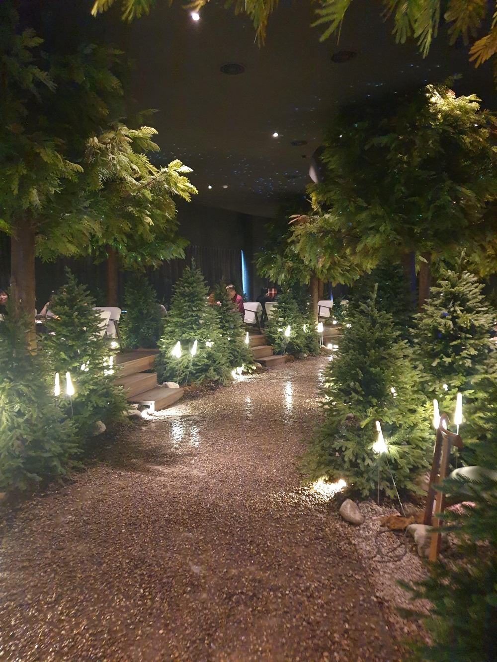 나무들과 조명들이 들어서있는 실내. 커튼이 닫혀있어 어둡다.