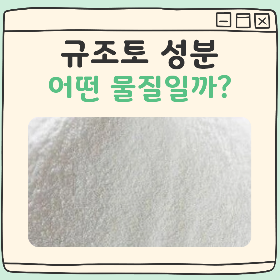 규조토 성분 대표 이미지