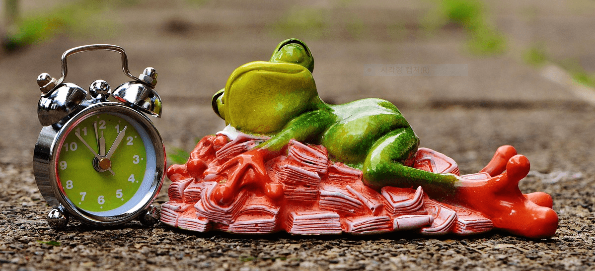 2025년 민생회복 소비쿠폰 (카카오뱅크로 신청하기)