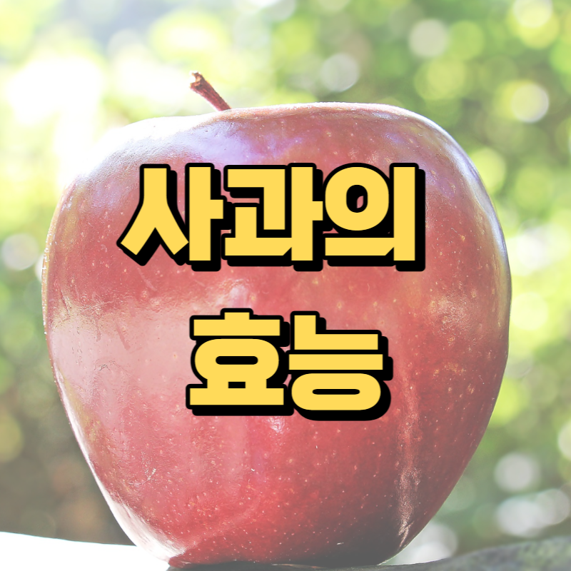 사과-효능