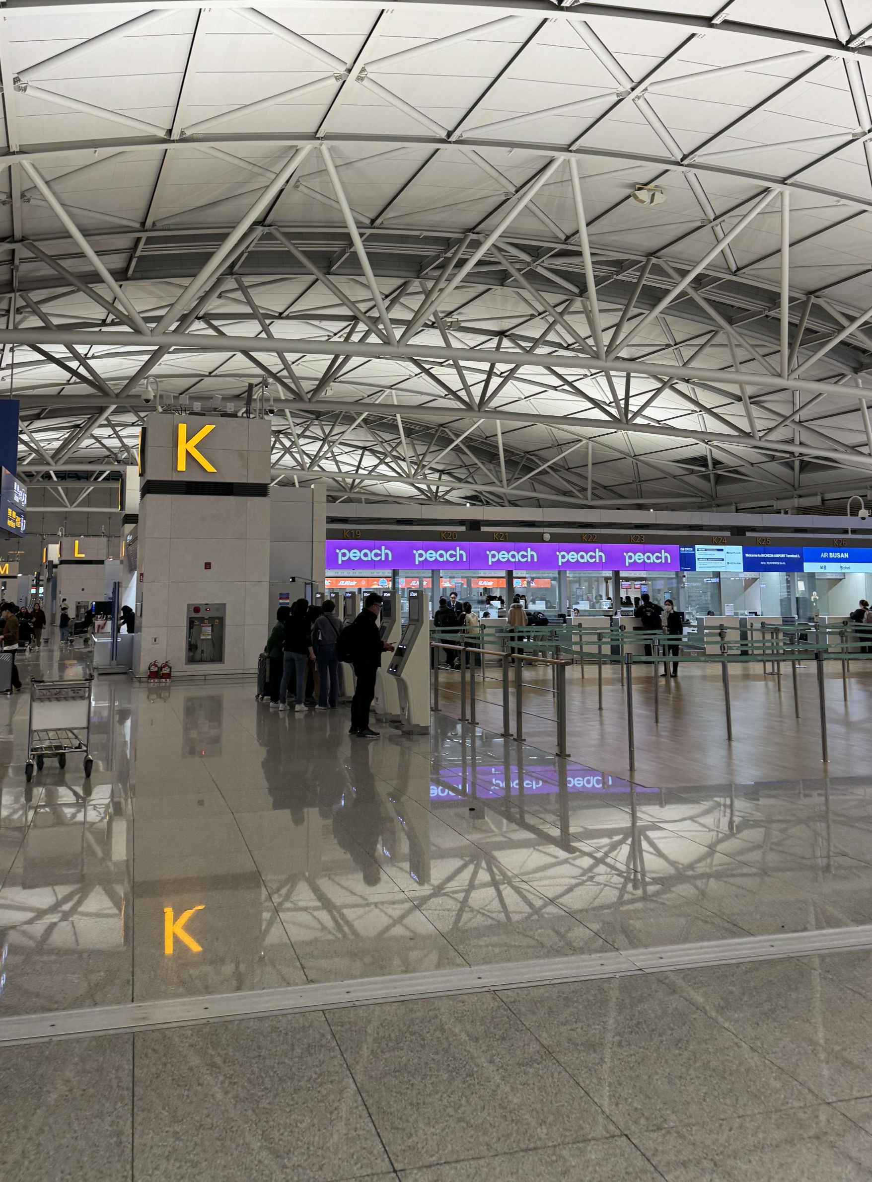 피치항공 체크인