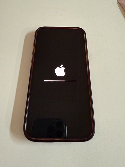 아이폰-초기화-진행-중-이미지