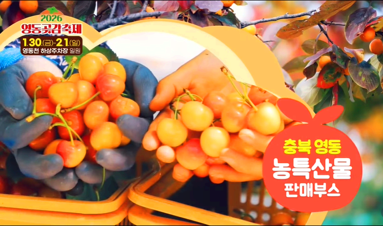 영동곶감축제