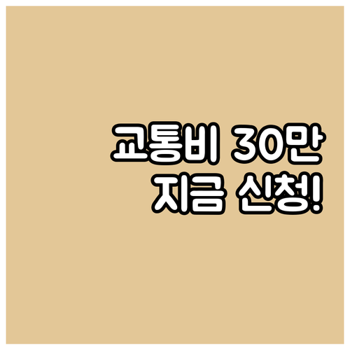 천안시 임산부 필독 2025 교통비 ..