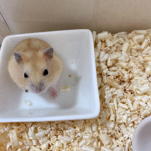 딸아이의 노트에서 시작된 새로운 가족 이야기