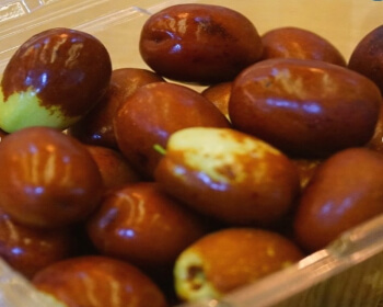 보은 대추축제_7