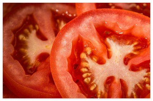 토마토가_몸에_좋은_이유