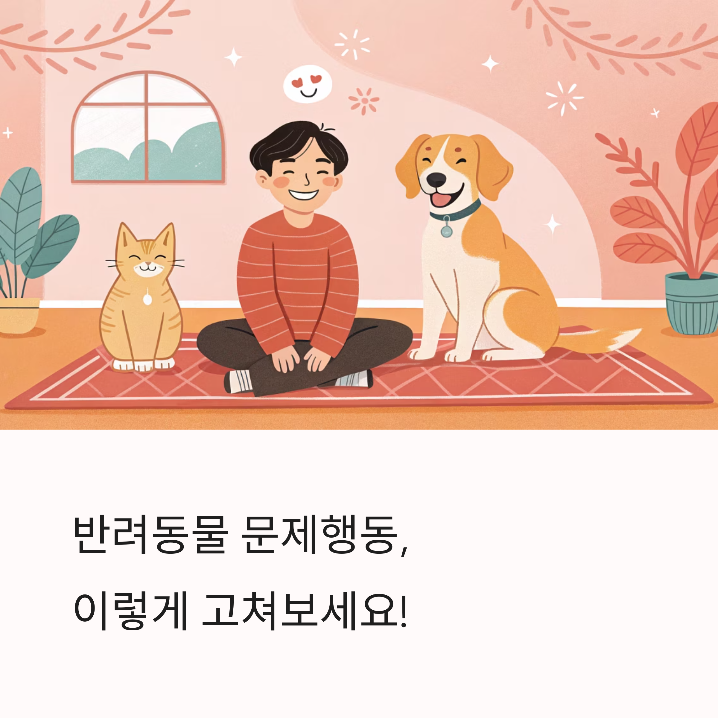 반려동물 행동 교정, 기본부터 제대로 시작하는 법