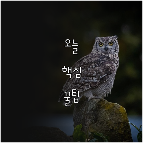 2025 대구 남구 건강보험료 노인장..