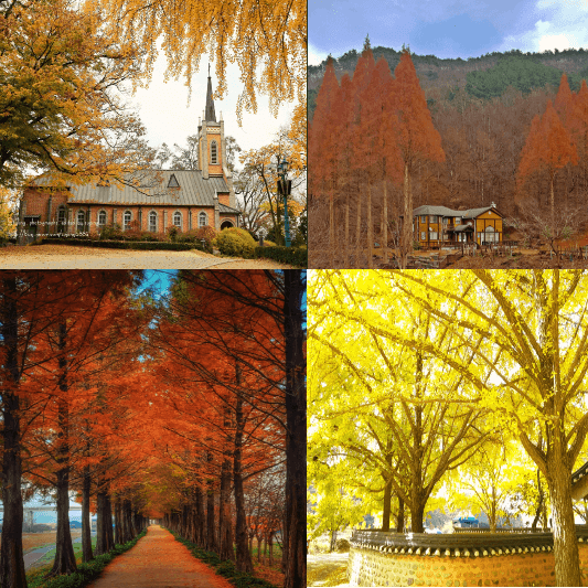 충남단풍명소-썸네일