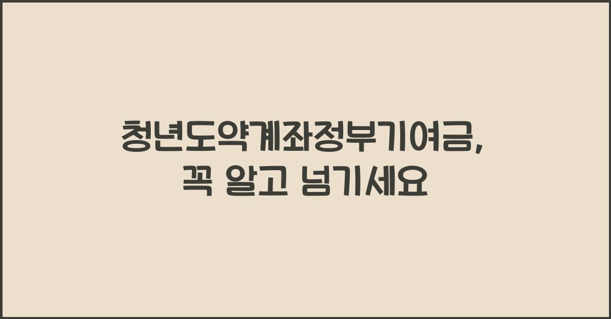 청년도약계좌정부기여금