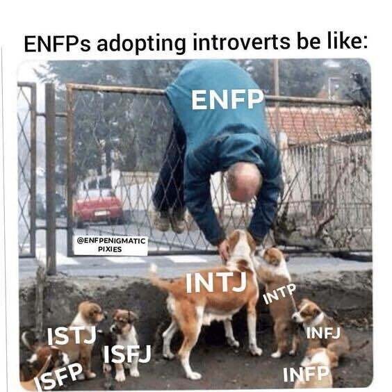 enfp