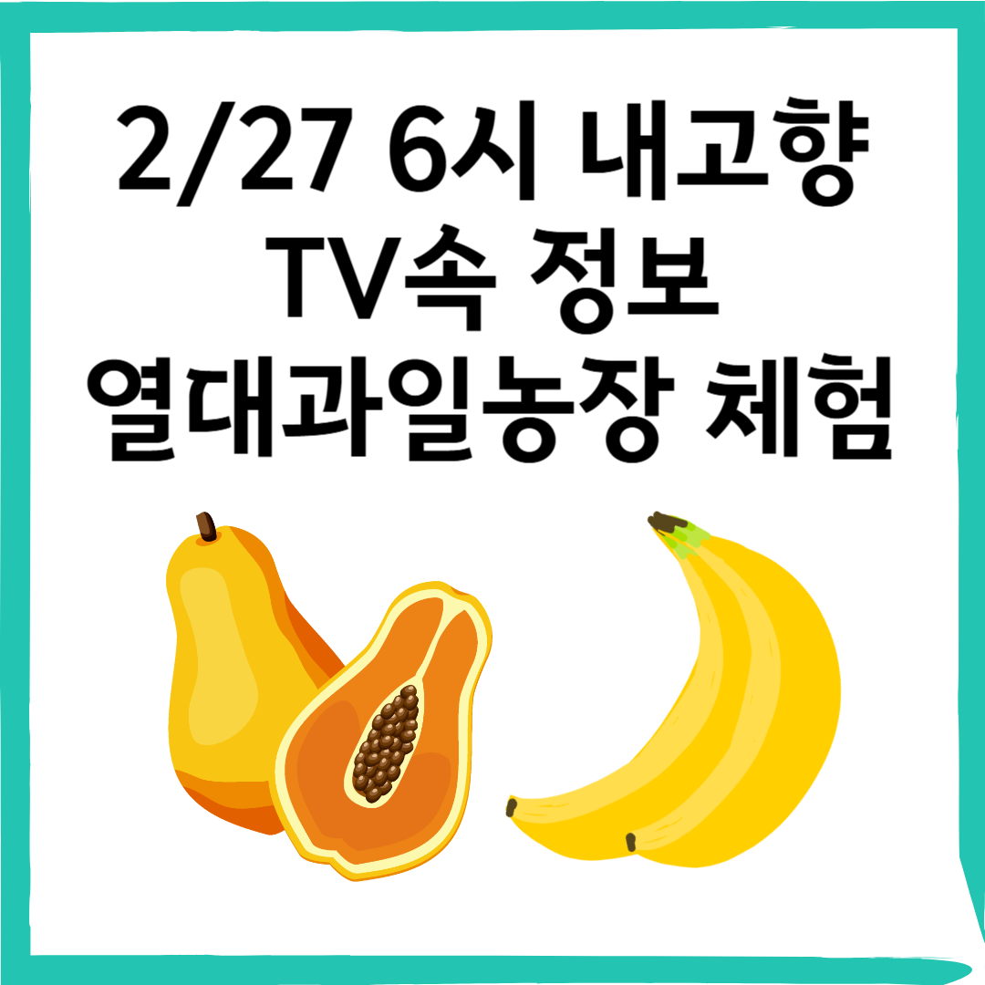 전북 익산 ‘서동팜’ – 6시 내고향 추천 열대과일농장 체험!