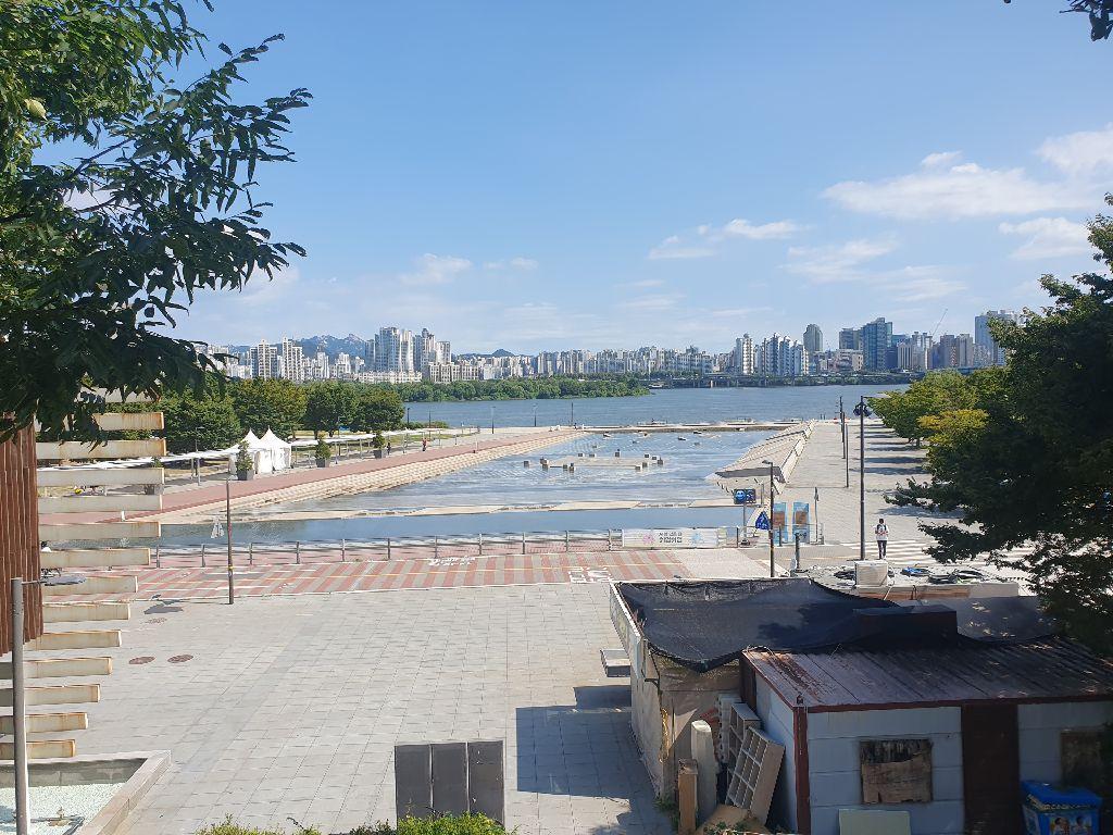 여의도-봄꽃축제-서울시제공