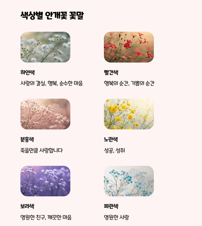 안개꽃 꽃말