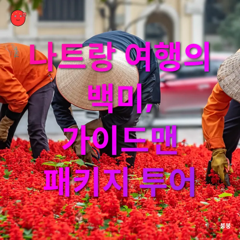 베트남 여행 패키지_2
