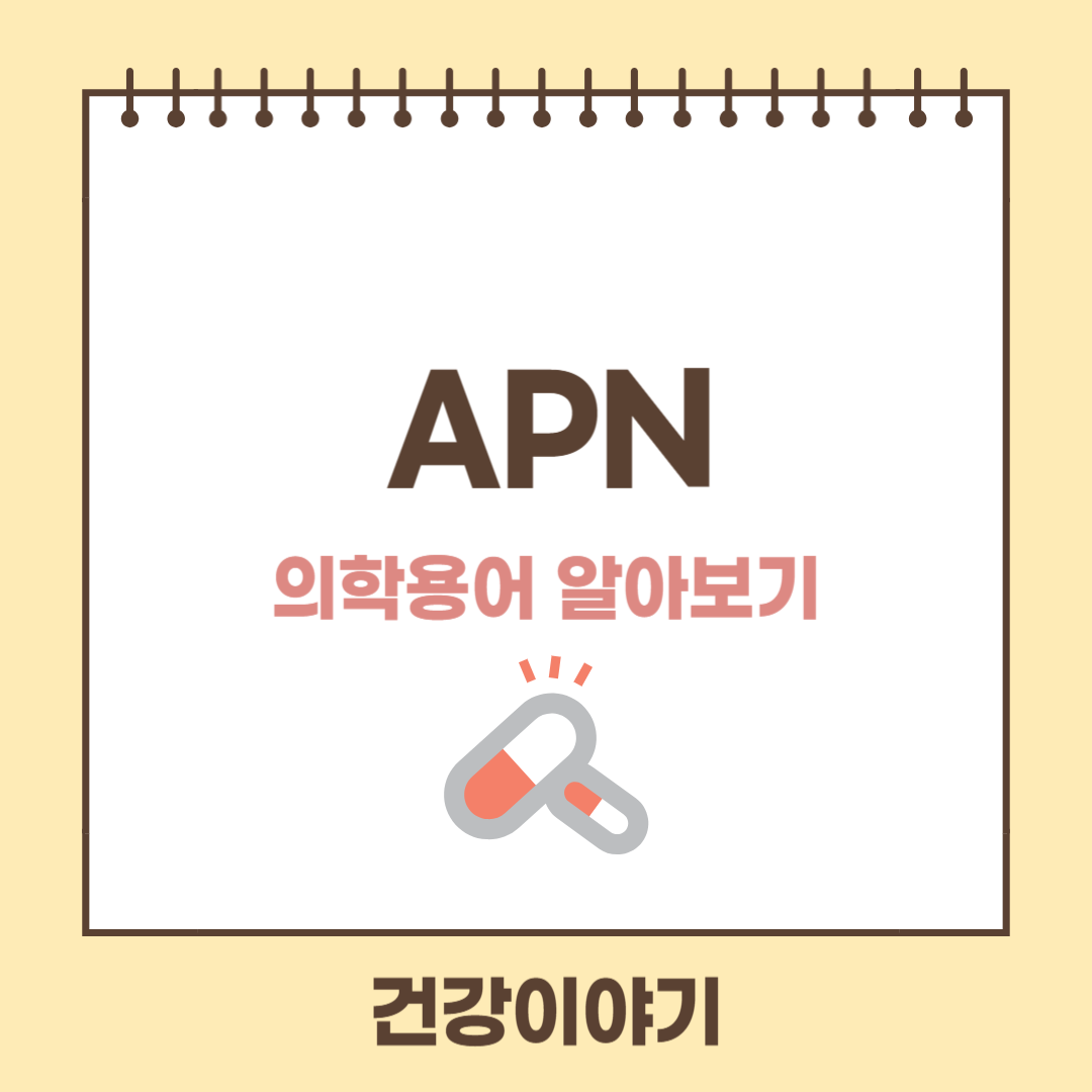 의학용어 APN이란