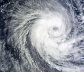 13호 가지키와 14호 넝파 비교