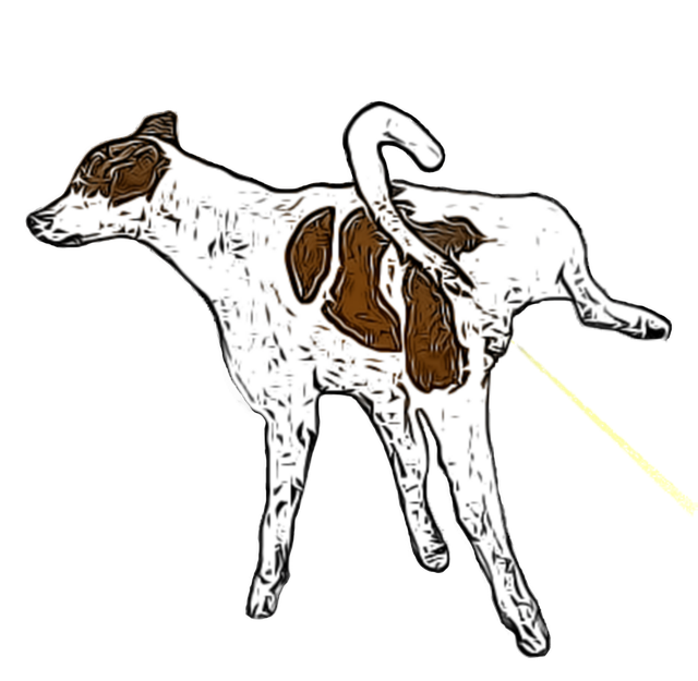 오줌누는 꿈 해몽 (11)