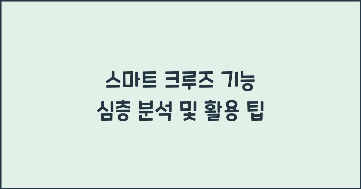 스마트 크루즈