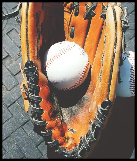 2024 WBSC 야구 프리미어 12 최종 명단 엔트리 확정!