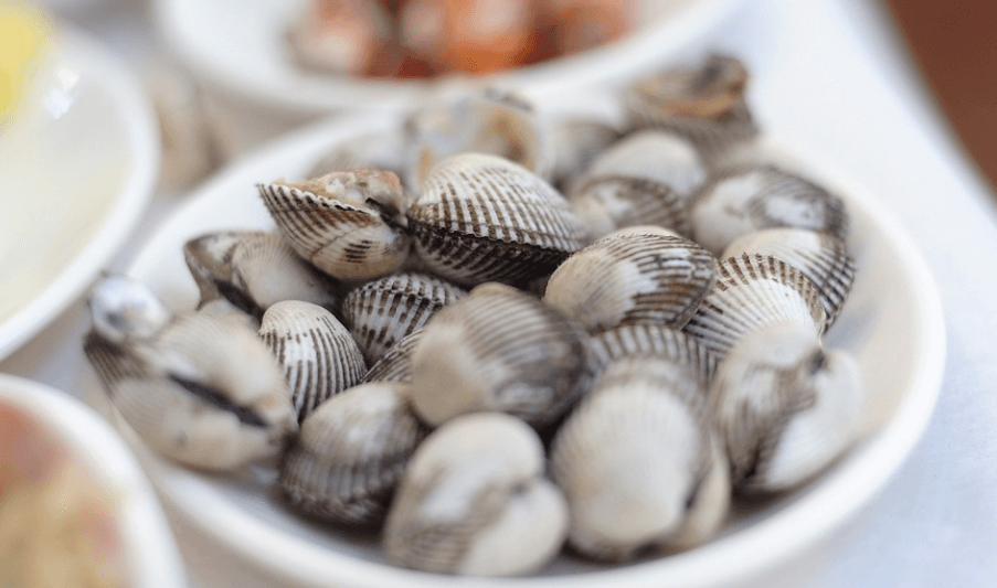 1월 제철 음식 꼬막이 접시에 담겨 있다