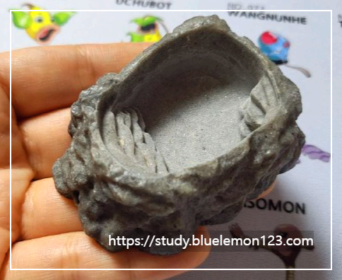 레오파드 게코 물그릇과 수분 공급 방법