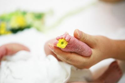 1인 자영업자 등 임산부 출산급여 지원 신청