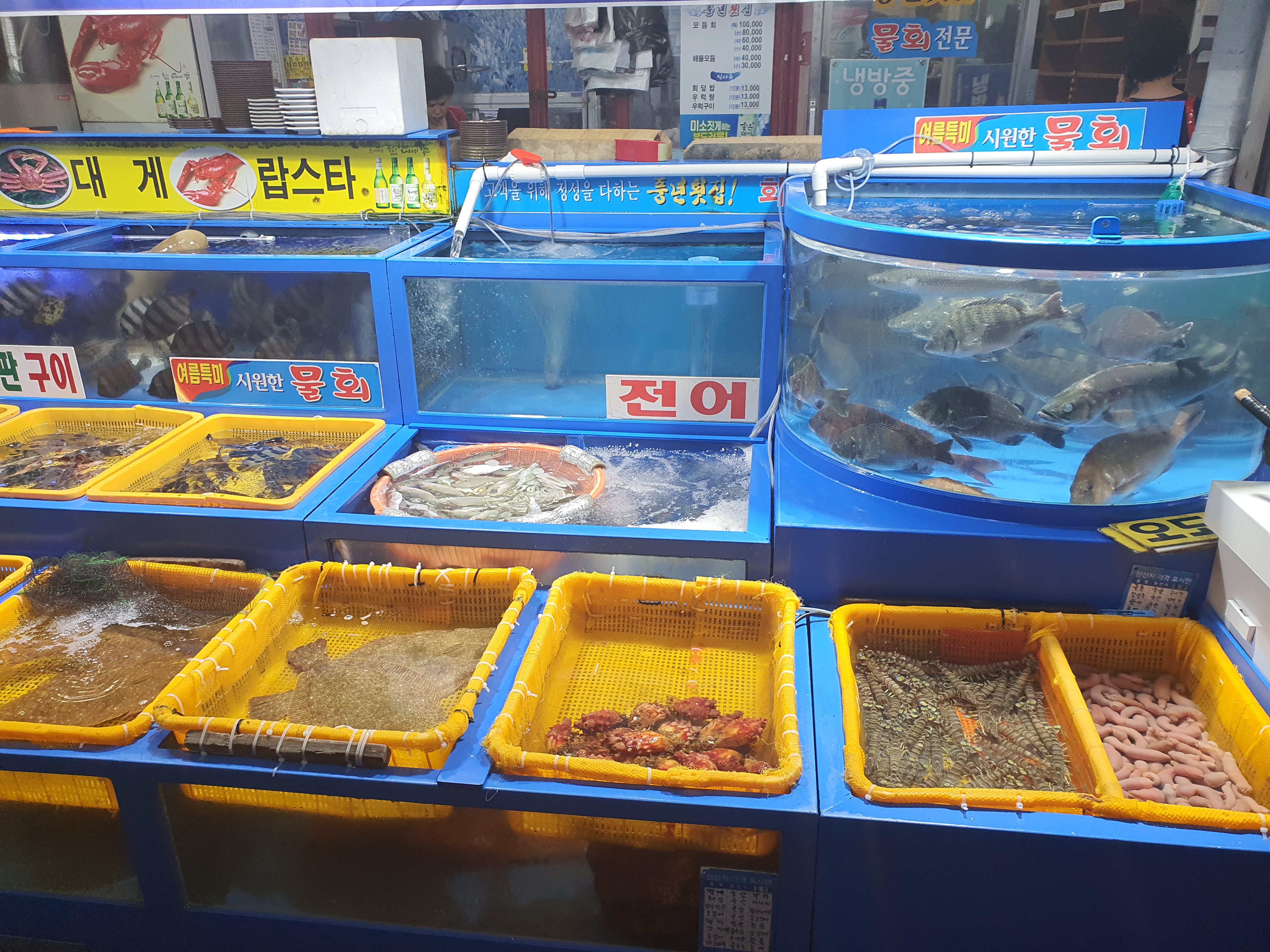 어시장전어_1