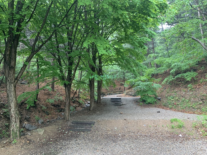 은이골 가족 캠핑장-산책로