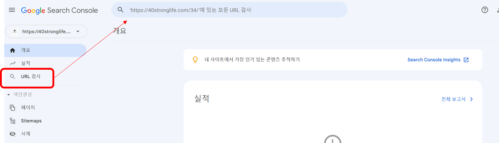 구슬 서치 콘솔 URL 검사