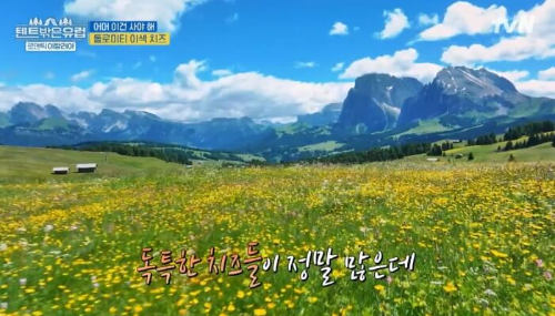 텐트 밖은 유럽 이탈리아 편 알페디시우시 야생화