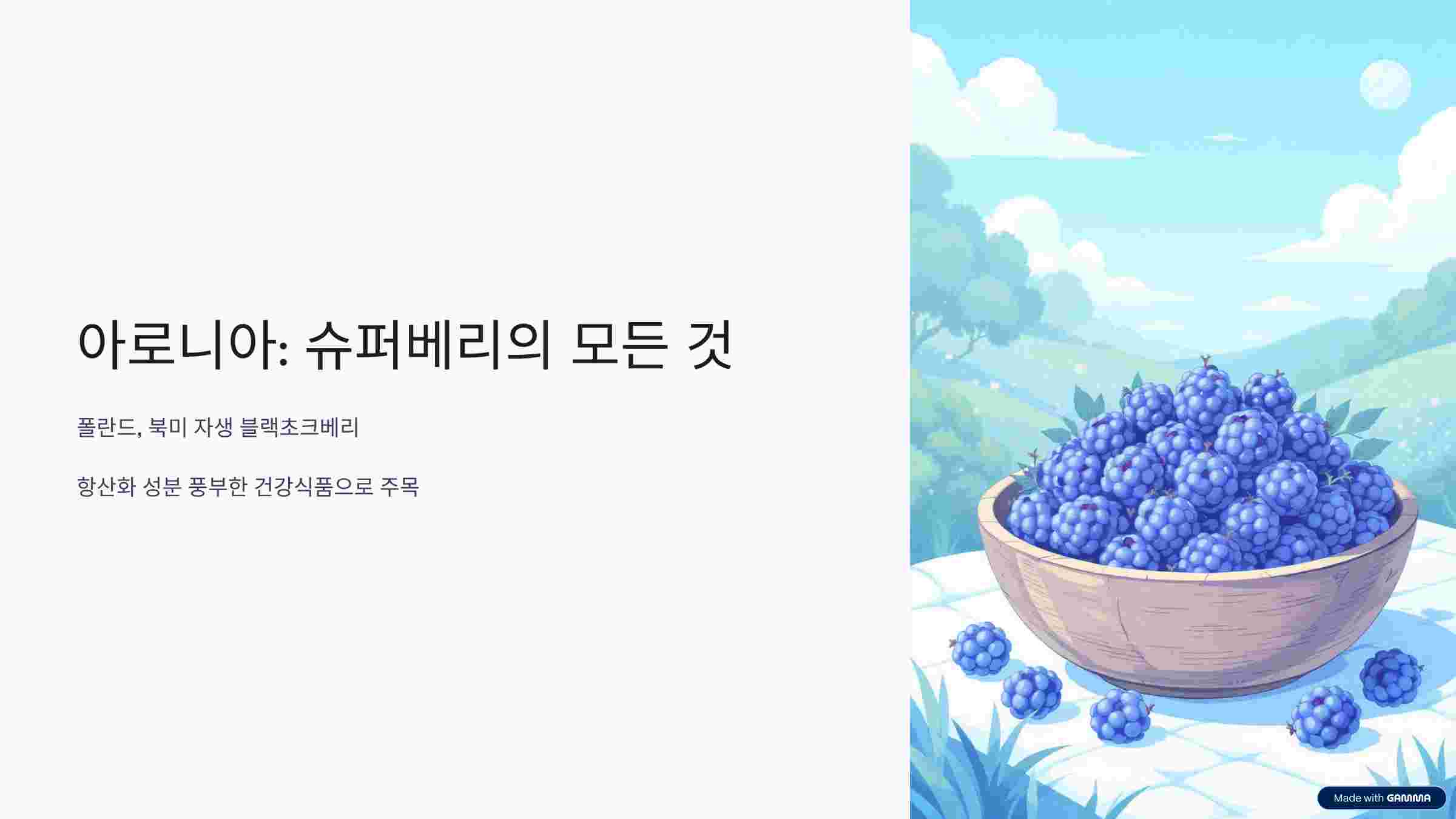 아로니아