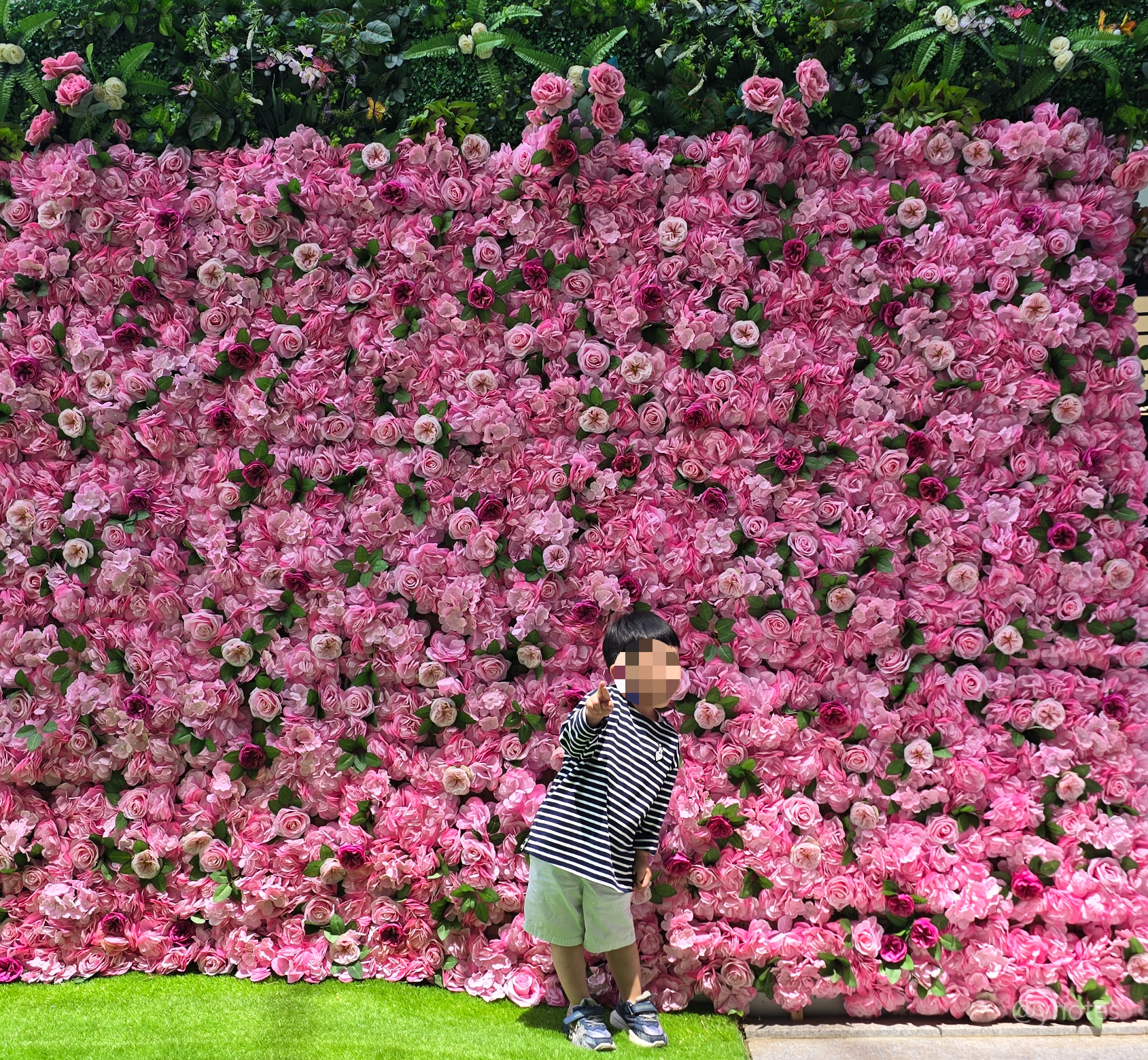 KKO pati (꼬파티) 시흥장곡점 포토존