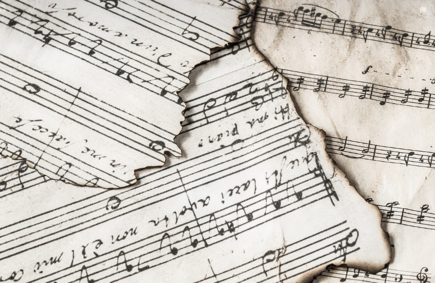 음악교육 vs 음악실연 진로, 필요역량과 전망, 그리고 선택 기준 이미지