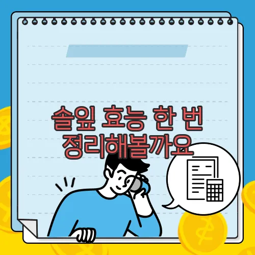 솔잎 효능 한 번 정리해볼까요