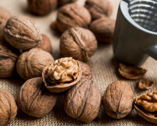 백내장에 좋은 음식