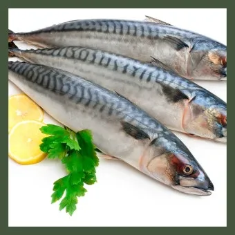 생선 비린내 프라이팬 소금 굽기와 환기 창문 열기_9